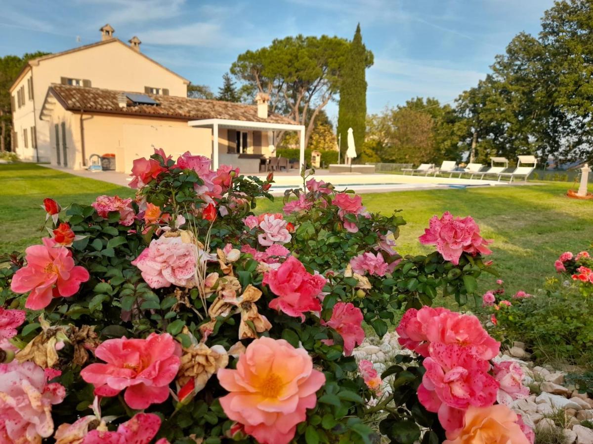 Relais Villa Sofia Calcinelli Kültér fotó