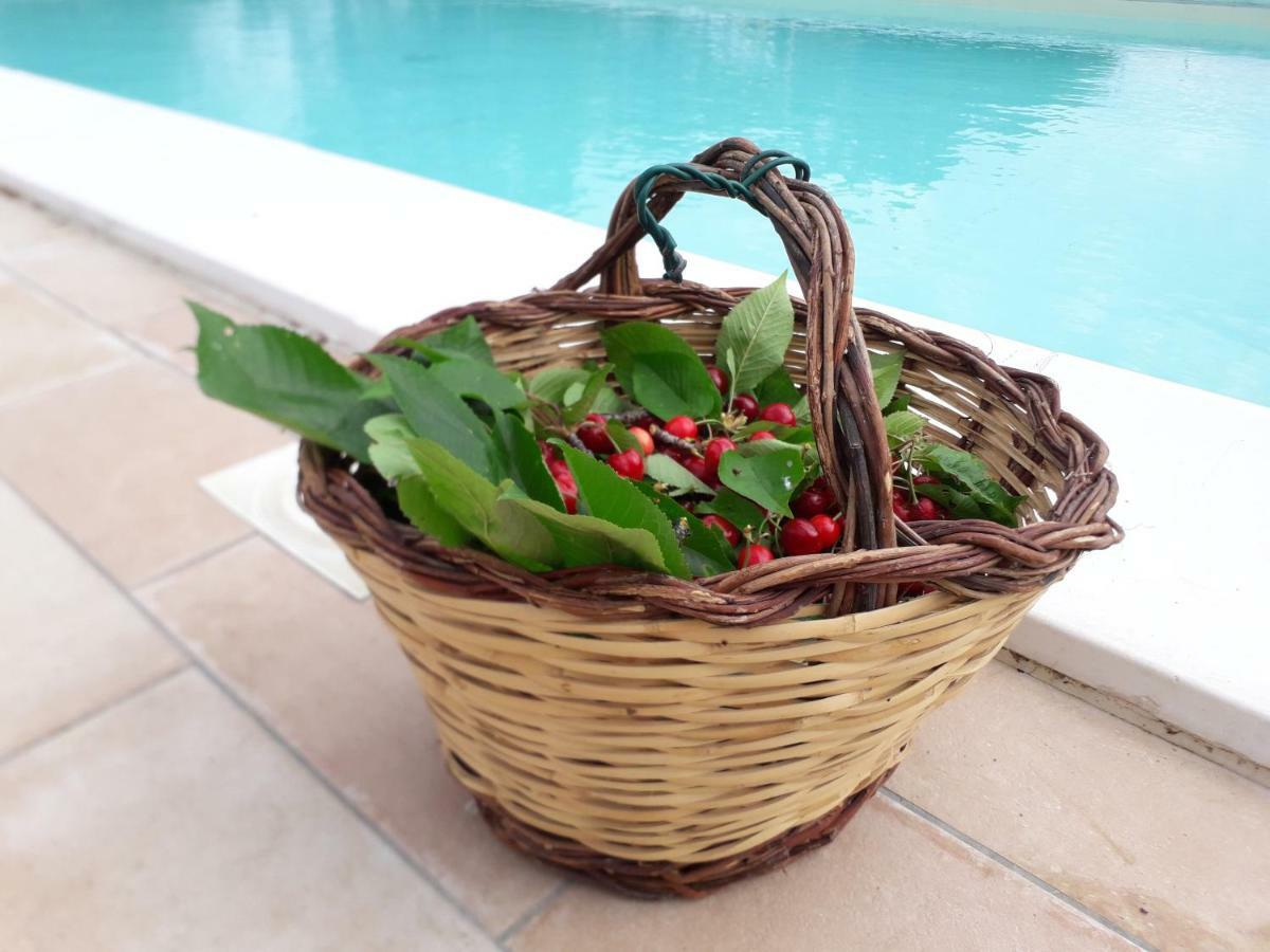 Relais Villa Sofia Calcinelli Kültér fotó